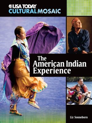 cover image of The American Indian Experience